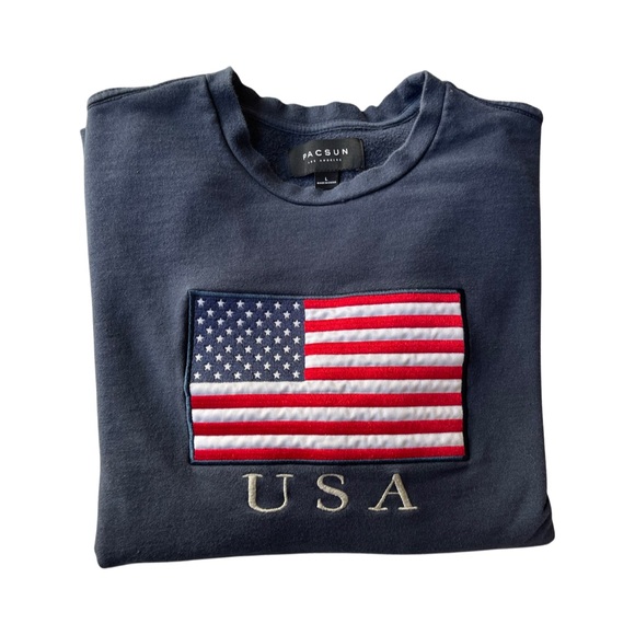 PacSun Other - PacSun Patriotic Flag Sweatshirt Top Men's blue Size Large